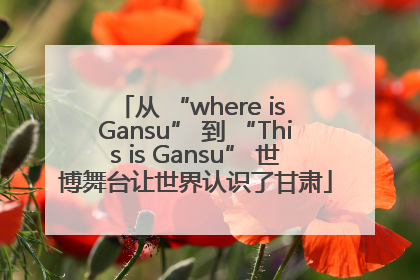 从 “where is Gansu” 到 “This is Gansu” 世博舞台让世界认识了甘肃
