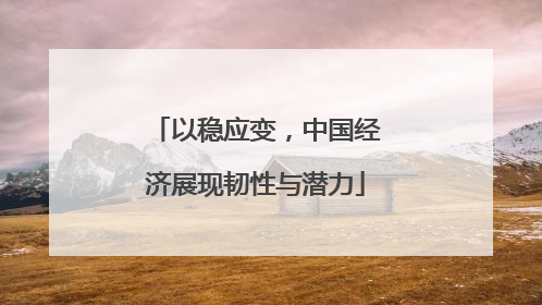 以稳应变，中国经济展现韧性与潜力