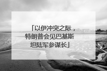 以伊冲突之际，特朗普会见巴基斯坦陆军参谋长