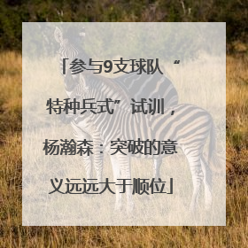 参与9支球队“特种兵式”试训，杨瀚森：突破的意义远远大于顺位