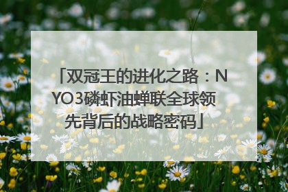 双冠王的进化之路：NYO3磷虾油蝉联全球领先背后的战略密码