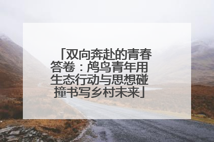 双向奔赴的青春答卷：鸬鸟青年用生态行动与思想碰撞书写乡村未来