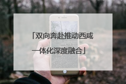 双向奔赴推动西咸一体化深度融合