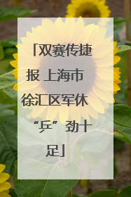 双赛传捷报 上海市徐汇区军休“乒”劲十足