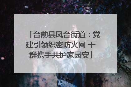 台前县凤台街道：党建引领织密防火网 干群携手共护家园安