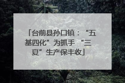 台前县孙口镇：“五基四化”为抓手 “三夏”生产保丰收