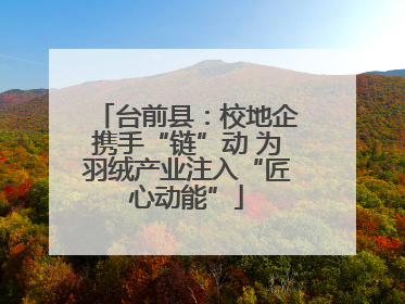 台前县：校地企携手“链”动 为羽绒产业注入“匠心动能”