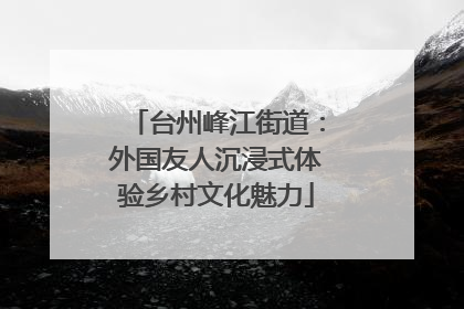台州峰江街道：外国友人沉浸式体验乡村文化魅力