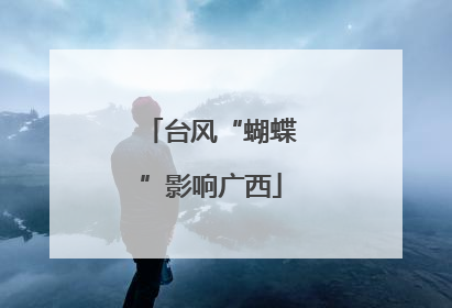 台风“蝴蝶”影响广西