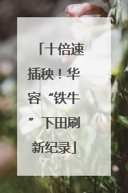十倍速插秧！华容“铁牛”下田刷新纪录