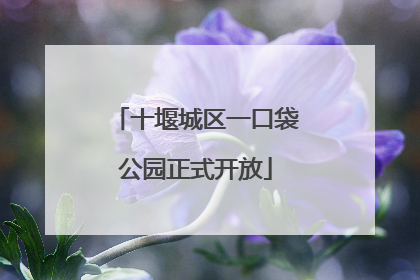 十堰城区一口袋公园正式开放