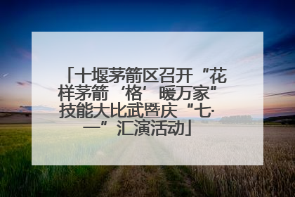 十堰茅箭区召开“花样茅箭‘格’暖万家”技能大比武暨庆“七·一”汇演活动