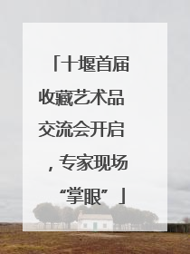 十堰首届收藏艺术品交流会开启，专家现场“掌眼”
