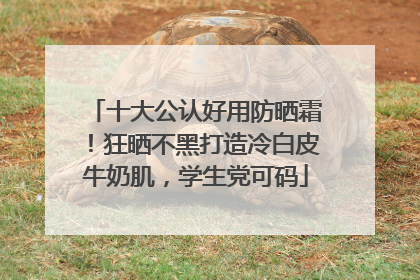 十大公认好用防晒霜！狂晒不黑打造冷白皮牛奶肌，学生党可码