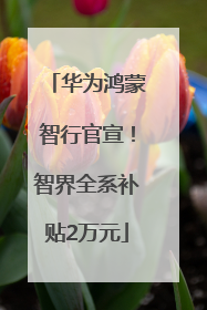 华为鸿蒙智行官宣！智界全系补贴2万元