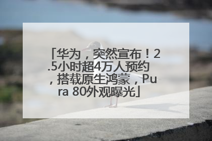 华为，突然宣布！2.5小时超4万人预约，搭载原生鸿蒙，Pura 80外观曝光