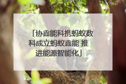 协鑫能科携蚂蚁数科成立蚂蚁鑫能 推进能源智能化
