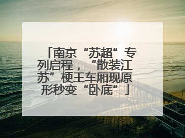 南京“苏超”专列启程，“散装江苏”梗王车厢现原形秒变“卧底”