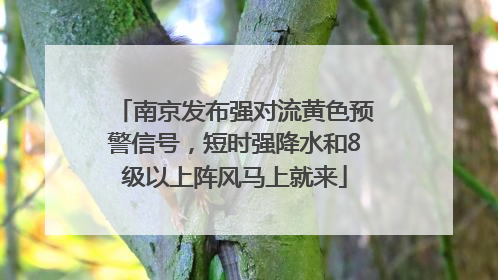 南京发布强对流黄色预警信号，短时强降水和8级以上阵风马上就来