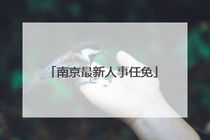 南京最新人事任免