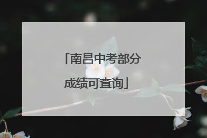 南昌中考部分成绩可查询