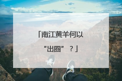 南江黄羊何以“出圈”？