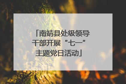 南靖县处级领导干部开展“七一”主题党日活动