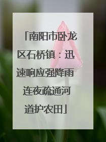 南阳市卧龙区石桥镇：迅速响应强降雨 连夜疏通河道护农田
