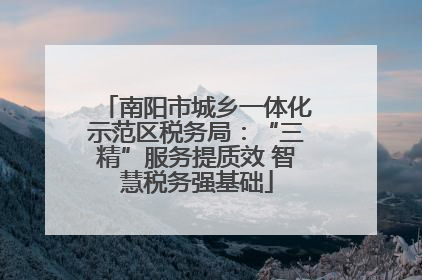 南阳市城乡一体化示范区税务局：“三精”服务提质效 智慧税务强基础