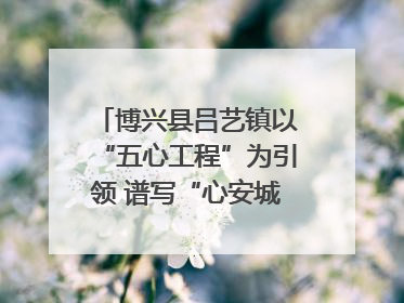 博兴县吕艺镇以“五心工程”为引领 谱写“心安城市”建设新篇章