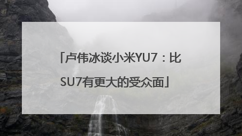 卢伟冰谈小米YU7：比SU7有更大的受众面