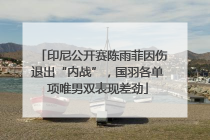 印尼公开赛陈雨菲因伤退出“内战”，国羽各单项唯男双表现差劲
