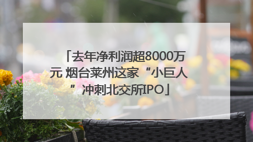 去年净利润超8000万元 烟台莱州这家“小巨人”冲刺北交所IPO