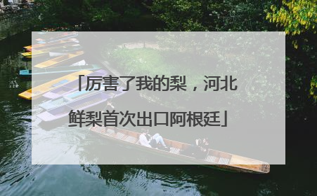 厉害了我的梨，河北鲜梨首次出口阿根廷