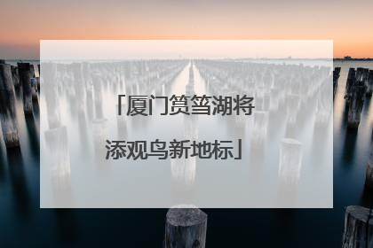 厦门筼筜湖将添观鸟新地标