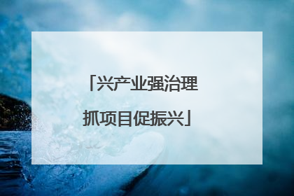 兴产业强治理 抓项目促振兴