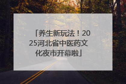 养生新玩法！2025河北省中医药文化夜市开幕啦