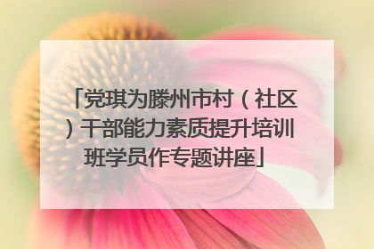 党琪为滕州市村（社区）干部能力素质提升培训班学员作专题讲座