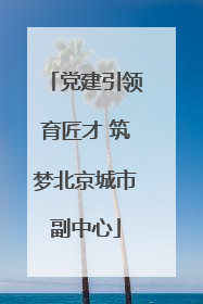 党建引领育匠才 筑梦北京城市副中心