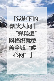 党旗下的烟火人间丨“蜂巢型”网格织就覆盖全城“暖心网”