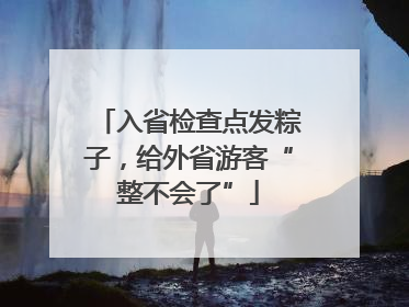 入省检查点发粽子，给外省游客“整不会了”
