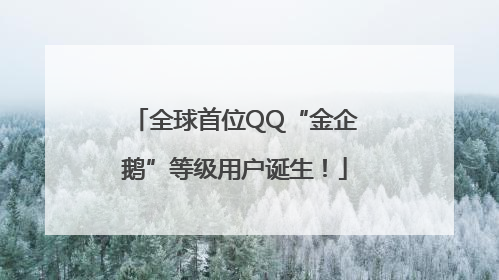 全球首位QQ“金企鹅”等级用户诞生！