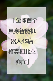 全球首个具身智能机器人4S店将亮相北京亦庄