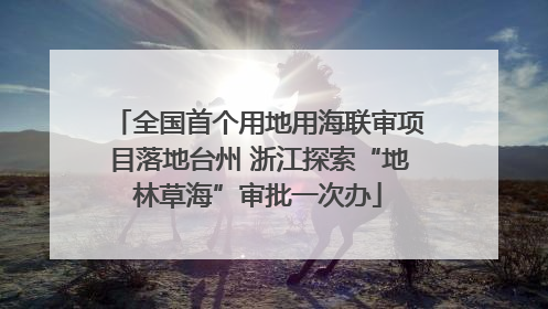 全国首个用地用海联审项目落地台州 浙江探索“地林草海”审批一次办
