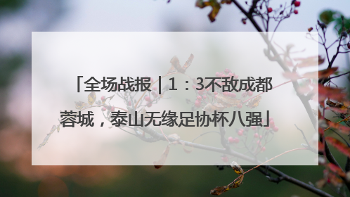 全场战报｜1：3不敌成都蓉城，泰山无缘足协杯八强