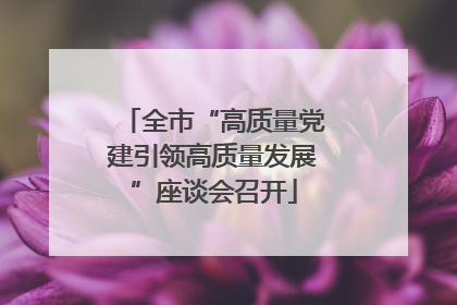 全市“高质量党建引领高质量发展”座谈会召开