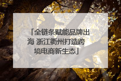 全链条赋能品牌出海 浙江衢州打造跨境电商新生态