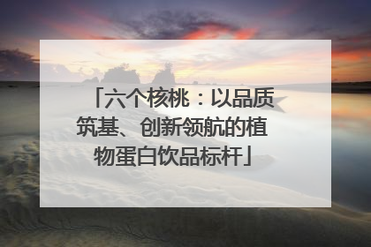六个核桃：以品质筑基、创新领航的植物蛋白饮品标杆
