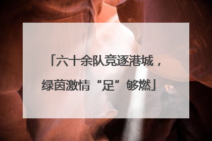 六十余队竞逐港城，绿茵激情“足”够燃