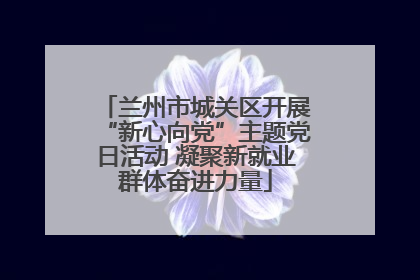 兰州市城关区开展“新心向党”主题党日活动 凝聚新就业群体奋进力量